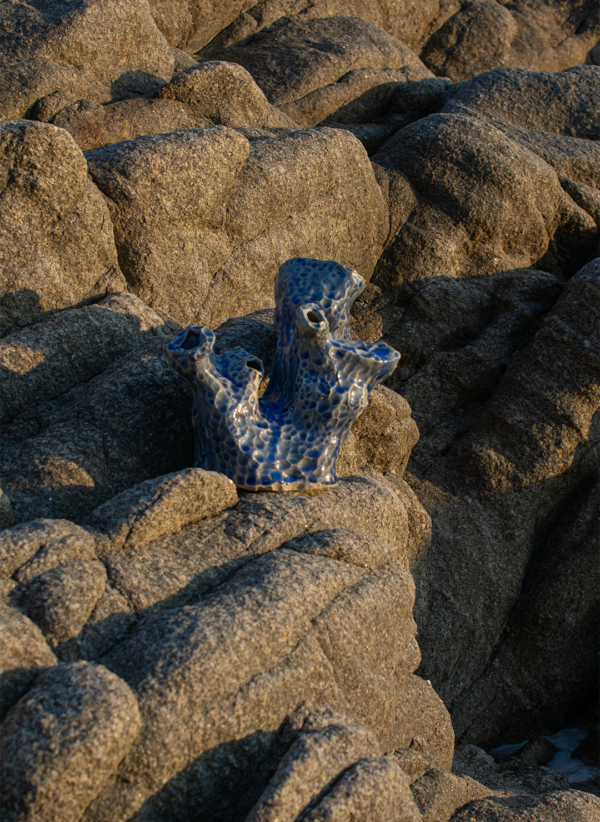 Candelabro coral - Image 4